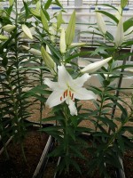 [5275 Universe EVR No01.JPG]